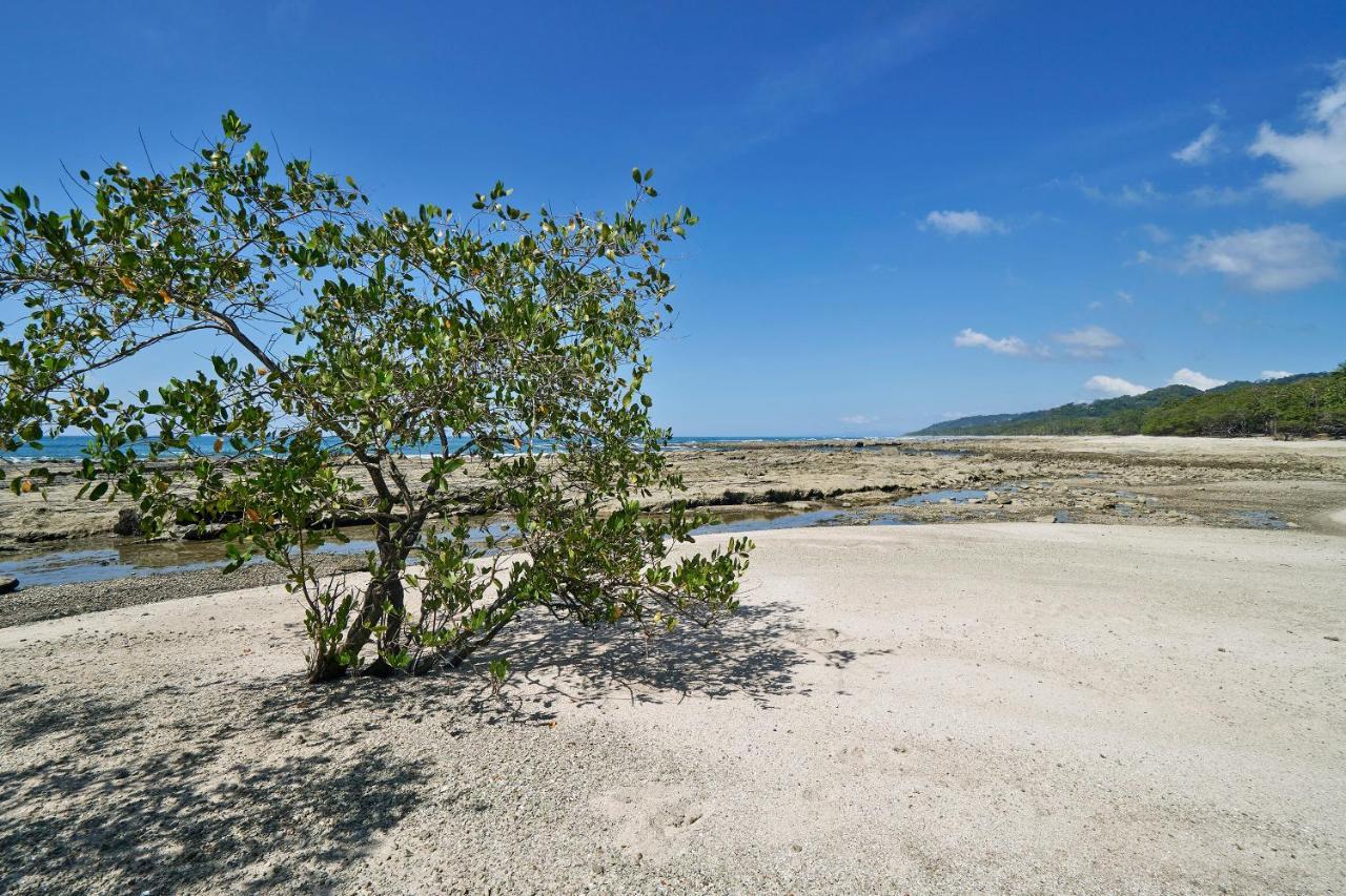 Paradise Beach Lodge Маль-Паис Экстерьер фото